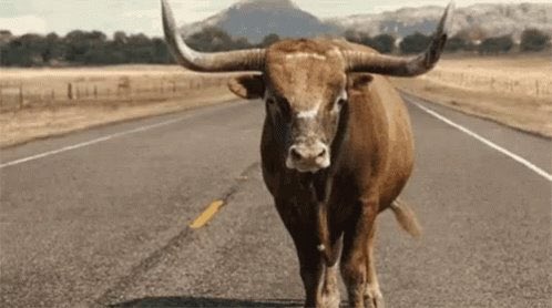 NFTGoldman's tweet photo. @0xSherif @coingecko @Mercatocoin @Ralvero $MCTO #mercatocoin #mercato #memecoin #cryptofootball https://t.co/ouSuHen3Cm