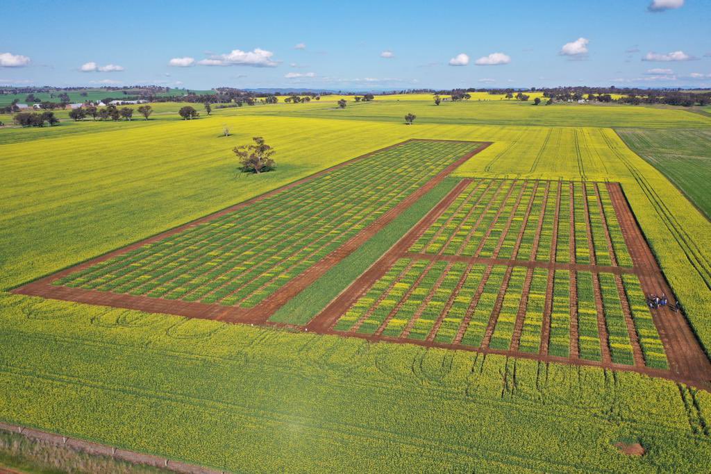 Nigel Routledge tweet media