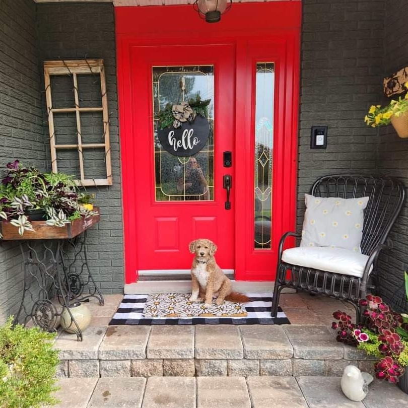 ErinFieldRemax's tweet image. Remember Lucy? I got to visit with Lucy this past weekend &amp;amp; she is all settled in! Lucy is in her forever home, &amp;amp; enjoys sitting in her new front window seat.

#Lucy #MovingWithPets #LetsTalkRealEstate #PetFriendly #HomeForPets #RealEstateLife #NeighbourhoodExpert #SellingOttawa