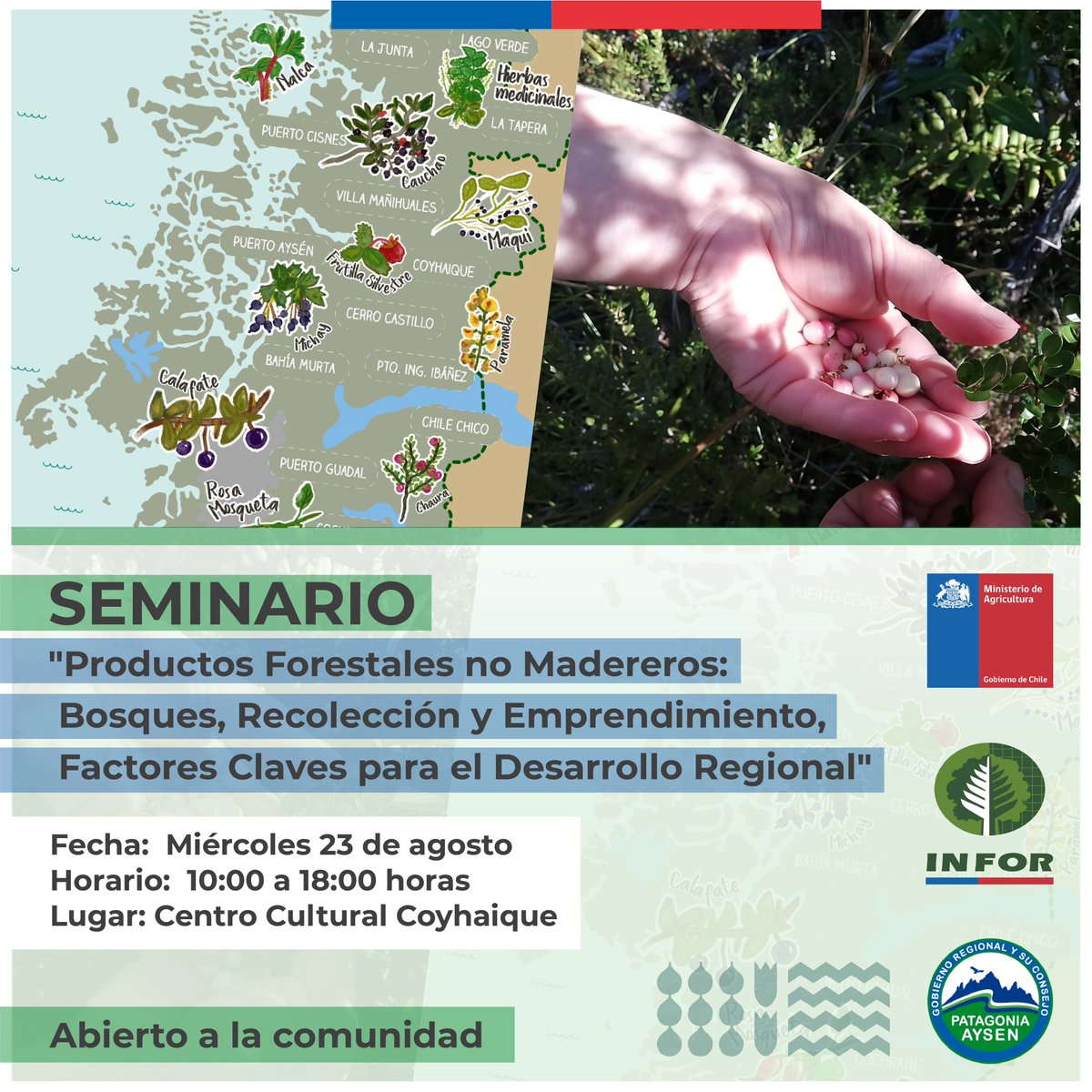INFOR_Patagonia's tweet photo. 📣 Seminario #INFOR #PFNM🌳 🍓🫐🍄🌳 
“Productos Forestales No Madereros: Bosques, Recolección y Emprendiendo, Factores Claves para el Desarrollo Regional”.
El miércoles 23 de agosto a partir de las 10:00 horas en el Centro Cultural Coyhaique. Abierto a la comunidad. https://t.co/MZ170DxDCQ