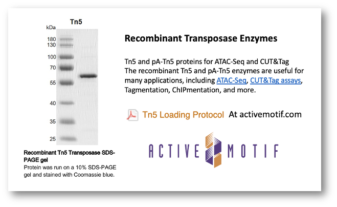 activemotif's tweet photo. At last! Affordable options for Tn5 & pA-Tn5 proteins! https://t.co/bG98ecJOm5
#CUTnTag #transposon #tagmentation #NGS https://t.co/bGg9Az6NOd