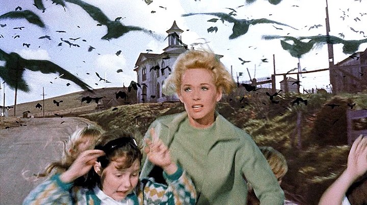 GentlemanPerv's tweet photo. @elfgirltalia Respect ALL birds…or else! https://t.co/euvD8gSMkN