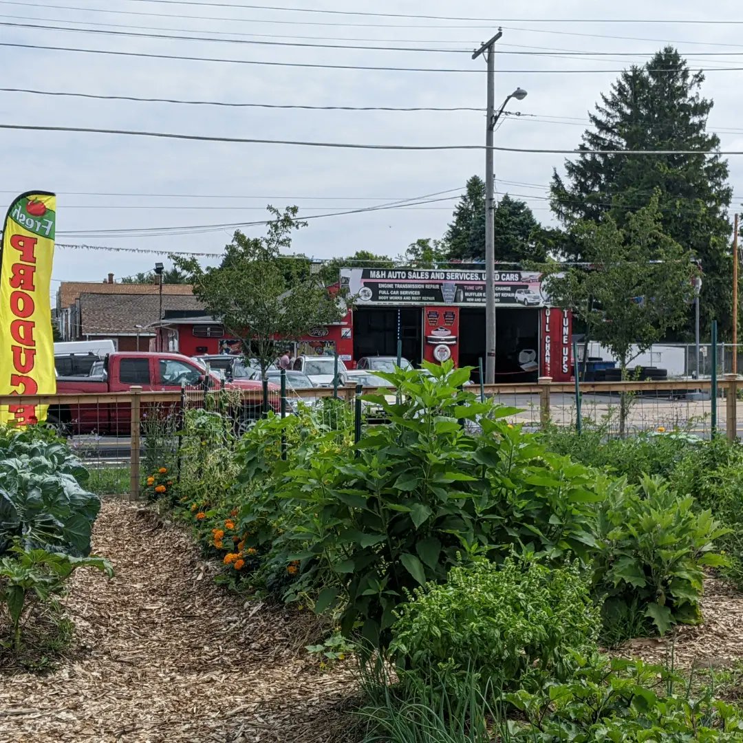 HurstAnthArch's tweet photo. Today was the 1st pay-what-you-can/free produce stand at the Grow and Glow Urban Collective farm on 23rd &amp; Parade! Beyond grateful to help this amazing woman put food in the hands of people who need it &amp; to meet our neighbors from all over the world! Diversity is such a gift! 💗 https://t.co/WpYg3qhPRR
