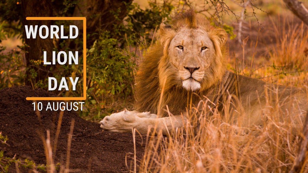 ConservationACE tweet picture
