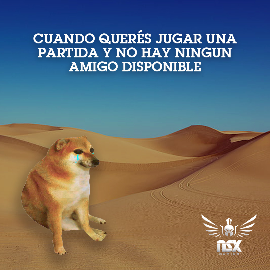 nsxcomputers's tweet photo. 🎮 ¡Modo solitario activado! ¿Te pasó que querés iniciar una partida de tu juego favorito y no hay nadie en línea? 😭

¡La soledad del gamer es real! 😅

#GamerLife #GamingMode #memes https://t.co/rk0o5Fsl1e