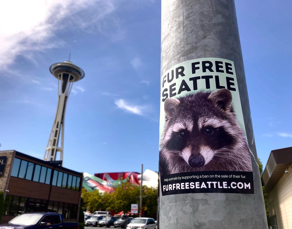 furfreeseattle's tweet photo. Word about #FurFreeSeattle is spreading! If your #Seattle business or organization would like to display one of our posters/flyers, let us know! https://t.co/LnblnlnctU