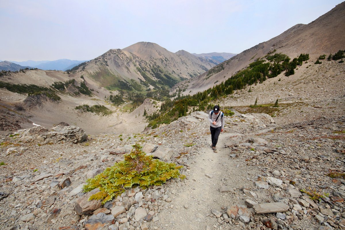 Happy_Wanderer2's tweet photo. A few photos from the long weekend spent exploring the backcountry of Washington's Olympic National Park. This is the Grand Valley area, where I spent two nights with several friendly deer and Olympic marmots. Nature is neat. @OlympicNP #Travel https://t.co/H5FEqb8tWF