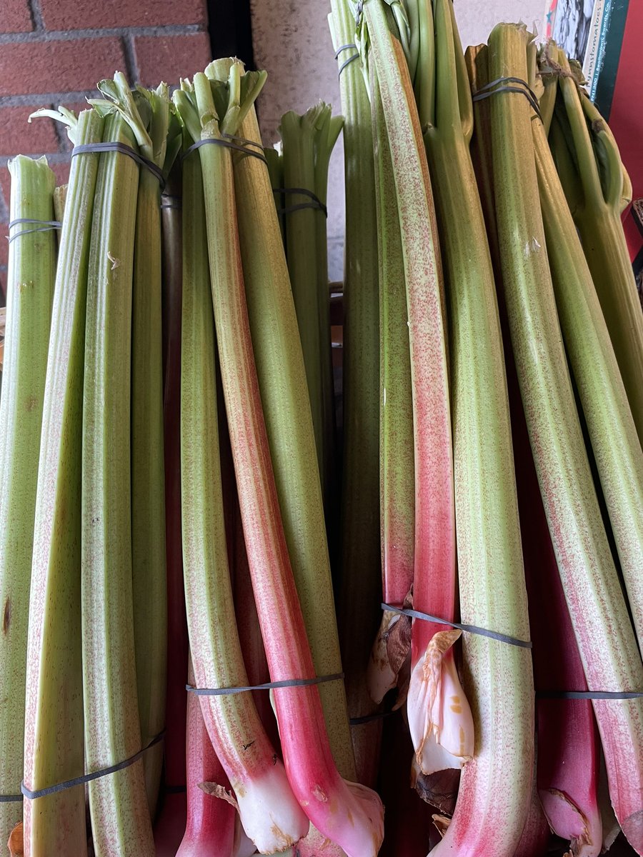 Rhubarb arrived this morning🔥

#HealthyHabits #rhubarb #Cooking #baking #naas #fruit4u #kildare #BuyLocal
