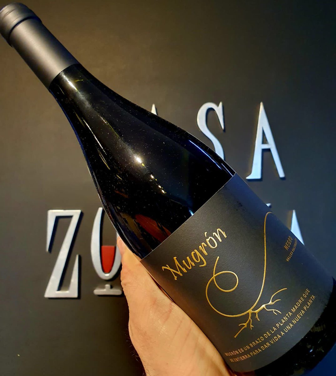 CasaZuviria's tweet photo. Ya disponibles las nuevas añadas de @mugroncafayate
Salute 🍷
@claudiomaza1 @PacoPuga1 @rdcafayate Mariano Quiroga Adamo
#casazuviria #vinoteca #vino #mugron #enologos #elixir #molinos #valledecafayate #salta #malbec #tannat #cabernet https://t.co/Knw8zza3ce