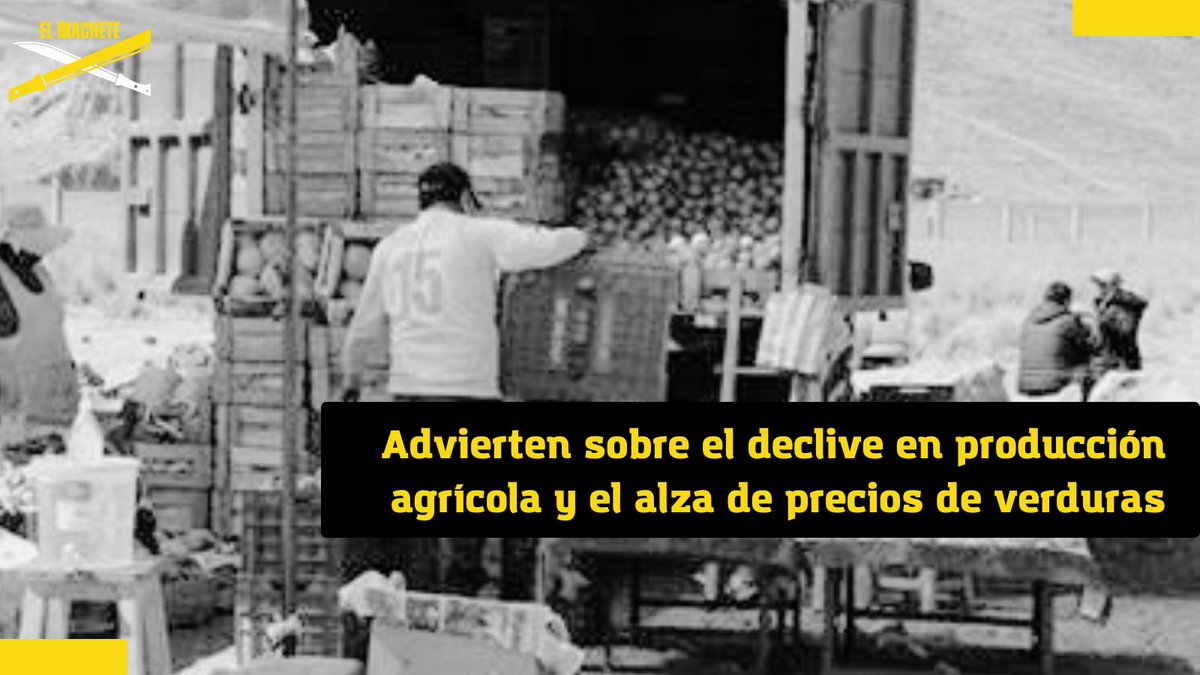 PeruMachete's tweet photo. El presidente del mercado El #Mayorista de #Juliaca, Andrés Ilaita, advirtió que el precio de las verduras está experimentando un #aumento considerable. >>> https://t.co/fGhigCLe4N https://t.co/BsHP96OIBE