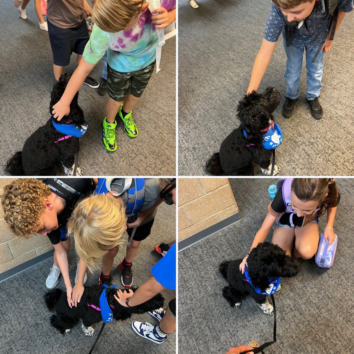 Jalayne Bacon tweet media