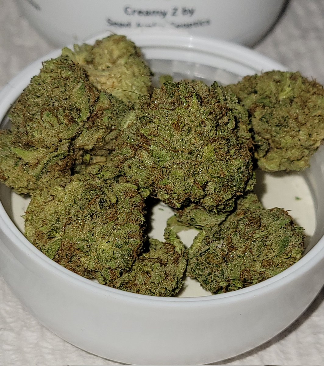 Creamy Z 😋🔥💨👍
#seedjunky
#sweetgas
#CannabisCommunity
