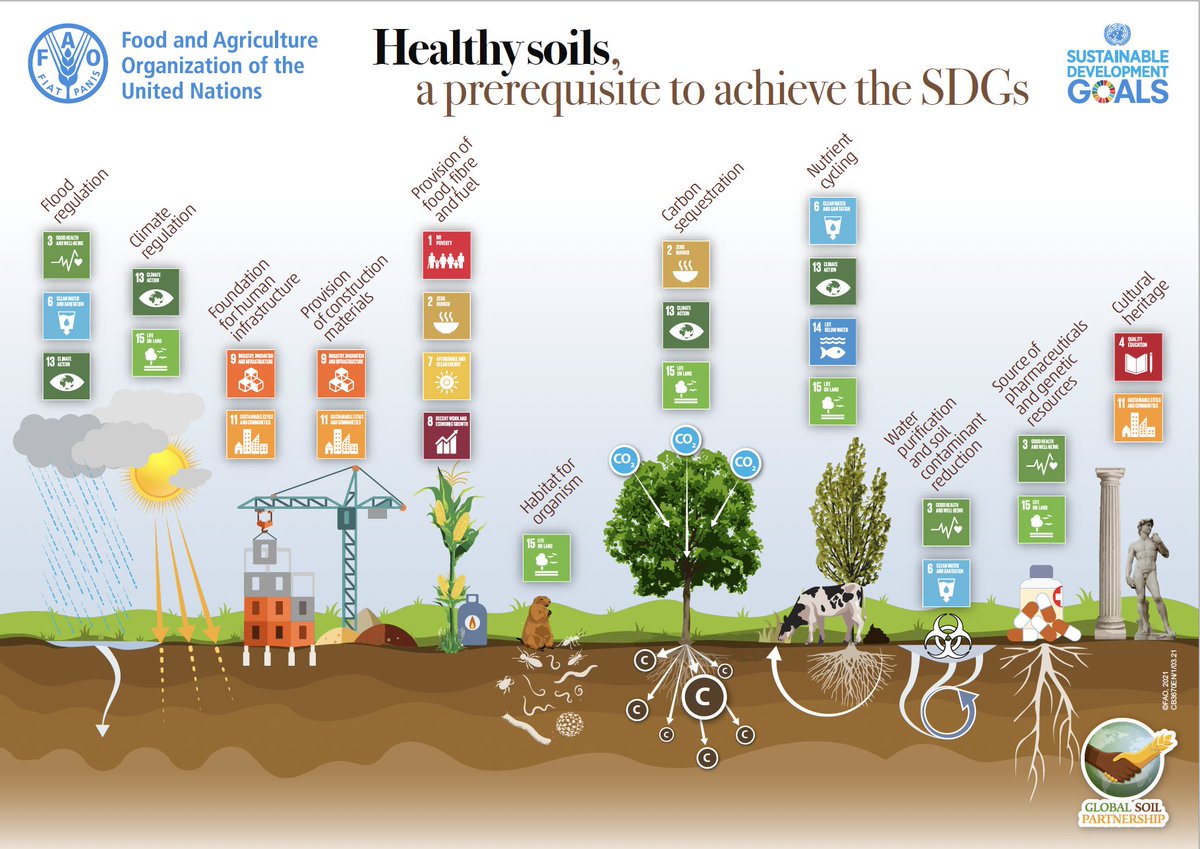 We recognize that healthy soil is vital for:

🍄 climate regulation
🌱 provision of food, fibre &amp; fuel
🕷 #biodiversity
🌏 and much more!
When we work to restore degraded land and support healthy soil, we contribute to the #GlobalGoals.

Via <a href="/FAO/">Food and Agriculture Organization</a> #SaveSoil
