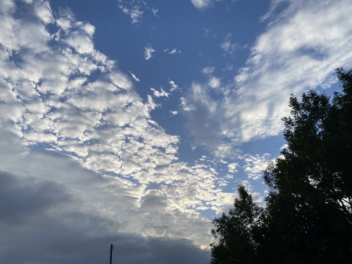 leeannelewis79's tweet photo. Walks and workouts. Beautiful evening - blue skies ❤️ enjoying an evening stroll, fresh air &amp; switching off 
#walking
#weights 
#exercise
#PharmacistActive 
#WeActiveChallenge
#WePh 
 #pharmacistactive https://t.co/KYD6cTqjlm