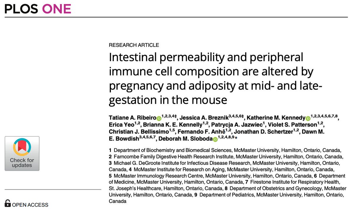 Sloboda_Lab's tweet photo. Finally published our newest paper 👉 @Tatiane10451451 et al's study on how pregnancy increases maternal intestinal permeability and how those changes are vulnerable to high fat diet.  Congratulations team! https://t.co/I7A2LMvWjH https://t.co/5iTx3qw6cg