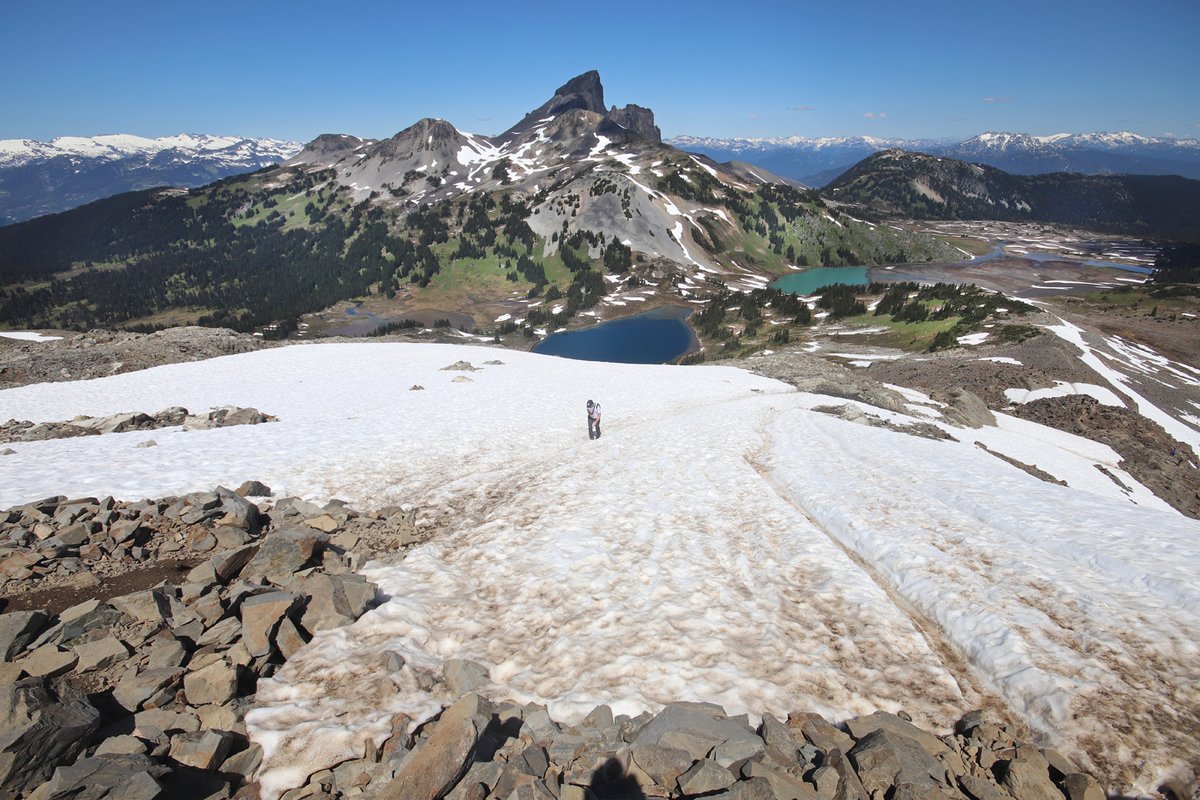 Happy_Wanderer2's tweet photo. Because it's so darn beautiful, here's a few photos from the Garibaldi Lake backcountry camping adventure that included a day hike to Panorama Ridge. This is a very popular hike, so if you go, expect to see tons of people on the trail. #Travel #exploreBC https://t.co/doCDmKiujs