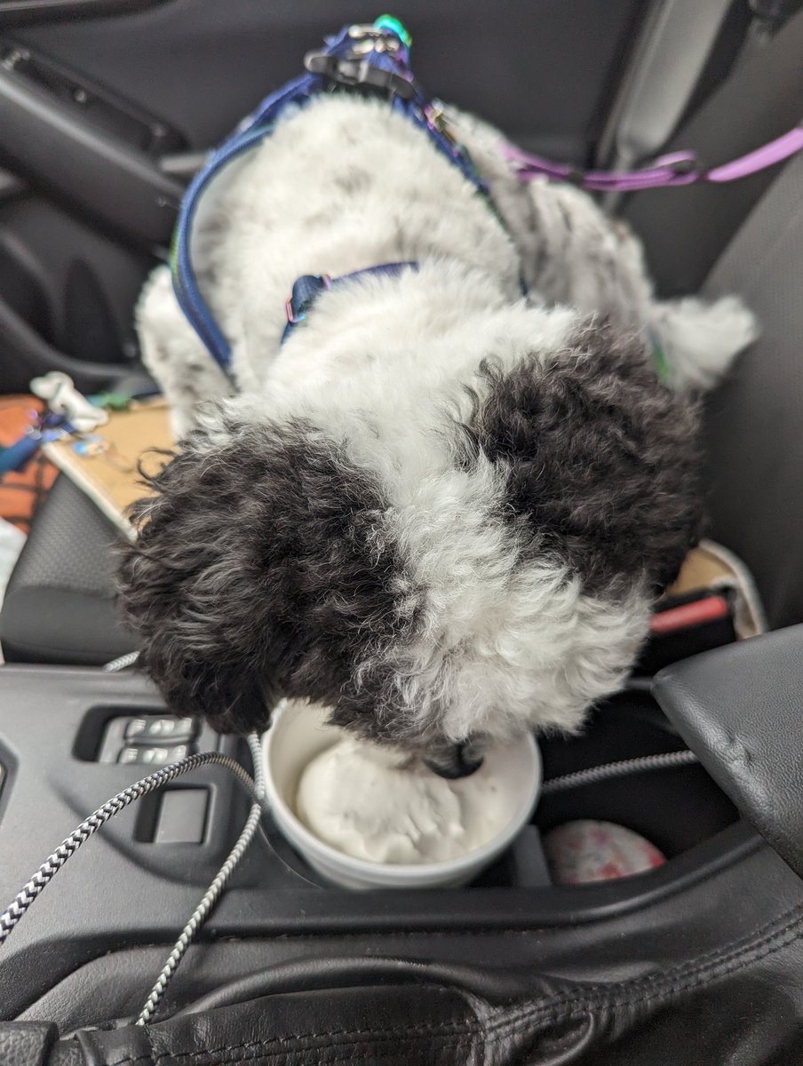 Good boys get ice cream!