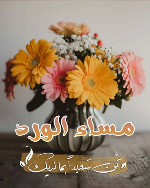 مش كل مشكلة تتحل بالنقاش 
أحياناً لو طنشت الموضوع يخلص....