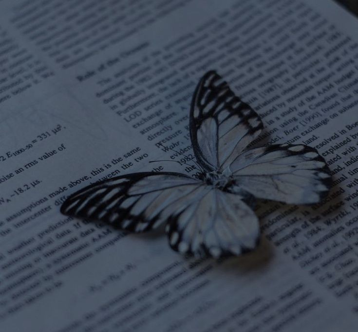 H0wlingv's tweet photo. Voy a hacer un hilo de cosas bonitas que me pasaron y tengo guardadas en mi galería ❤‍🩹 https://t.co/2qTnip6iPM