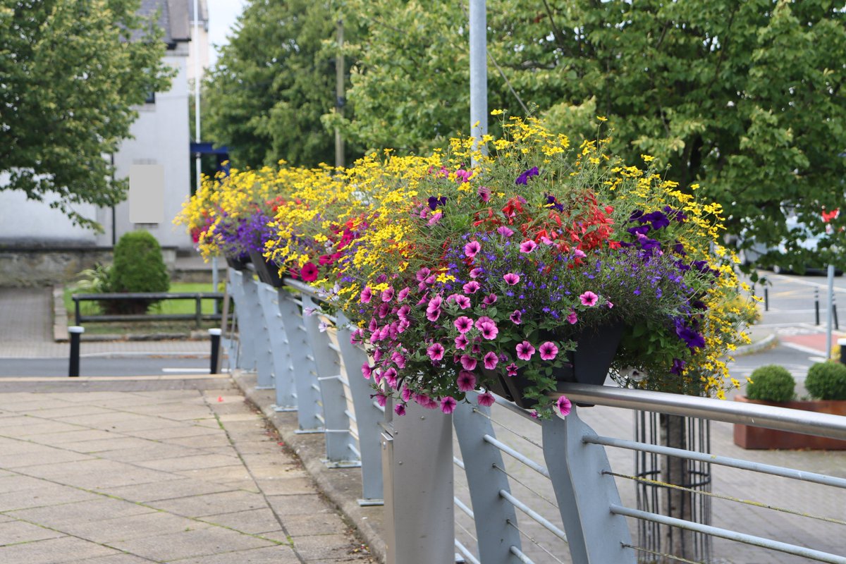 TTNewbridge's tweet photo. Lovely to see @riverbankarts summer floral display visible from within the building & from the footpath as one passes by.
Thank you for adding to our summer colour in #Newbridge
#ItsEasyToMakeADifference https://t.co/j5Og5mxEDU