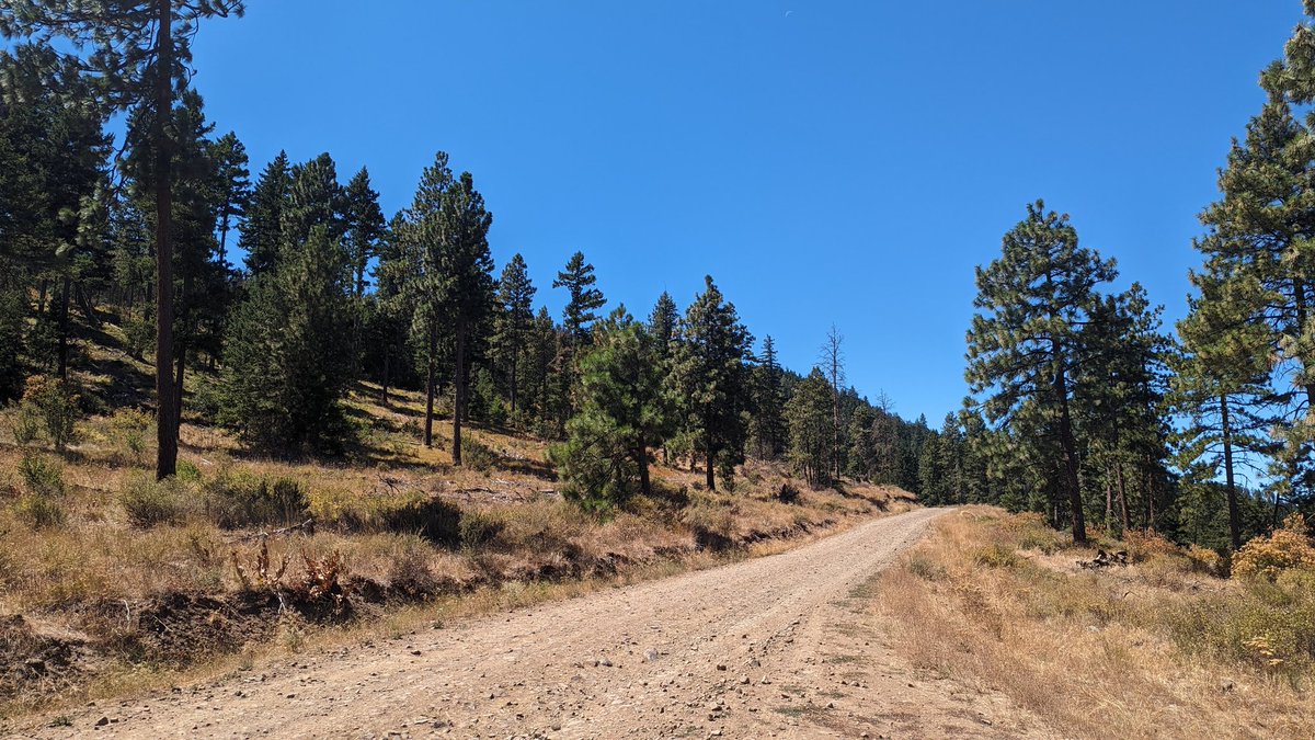 Just hangin' out in the woods for a few days, down a USFS road east of Snoqualmie Pass, WA. Nothin' too special, but love the smell of those pines!