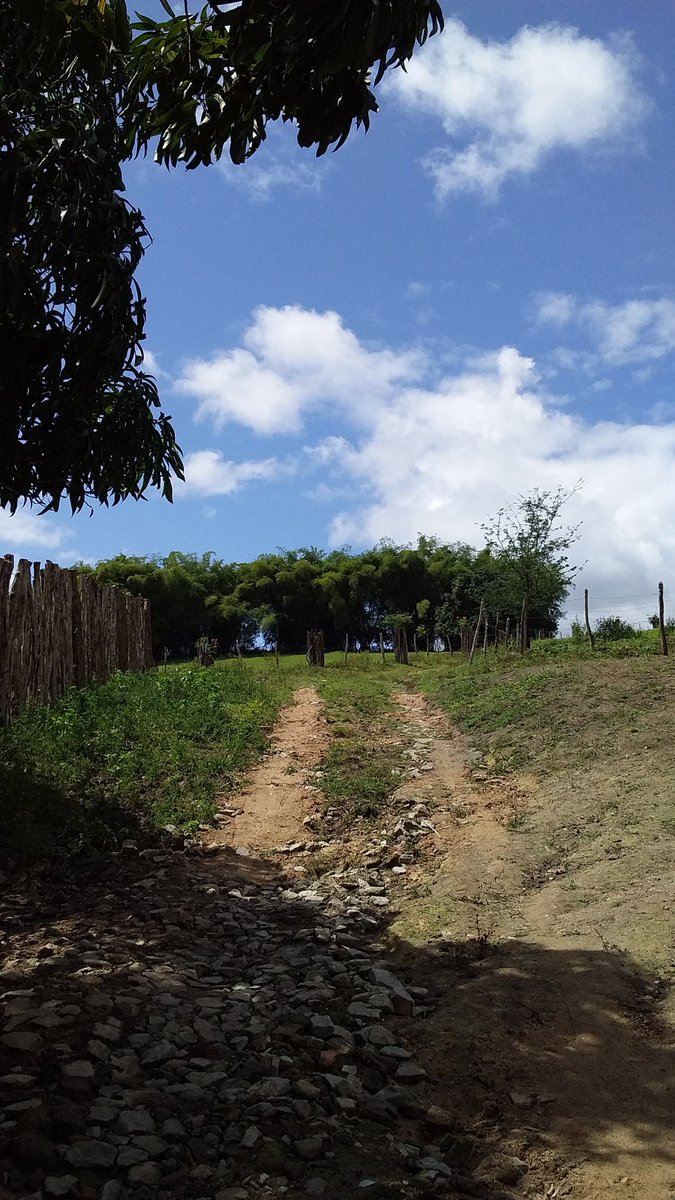 EdjaQuintella's tweet photo. Meu lugar para sempre vai está no meu coração ❤️ https://t.co/ycOHqTEMXG