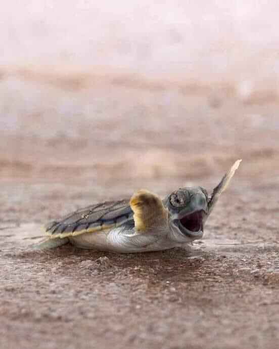 dembowmerida's tweet photo. Hoy es Jueves y el cuerpo ya lo sabe #FelizJueves https://t.co/Tp9ftiUJvr
