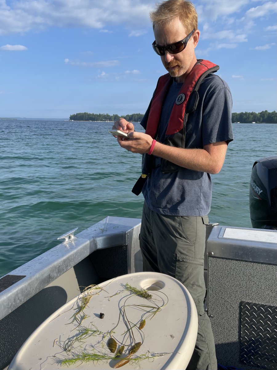 EGLE staff are out sampling aquatic plant community on Higgins Lake today.

These surveys help monitor and better understand the distribution of aquatic #InvasveSpecies in lakes across the state.
AIS reports are shared on MISIN annually: misin.msu.edu #WaterQualityMonth