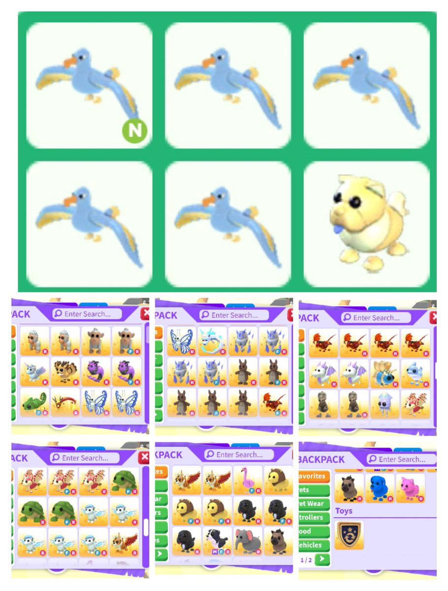 Cass120204's tweet photo. @AdoptMeDaily 🔥GOOD DAY EVERYONE 🔥

🩵SELLING MY ADOPT ME PETS🩵

•ACCEPTING PAYPAL☺️

Message me for those who are interested to buy my pets

💙Also selling more items💙
From different games and also i can find what ever you needs. https://t.co/VSaZa0nrM1