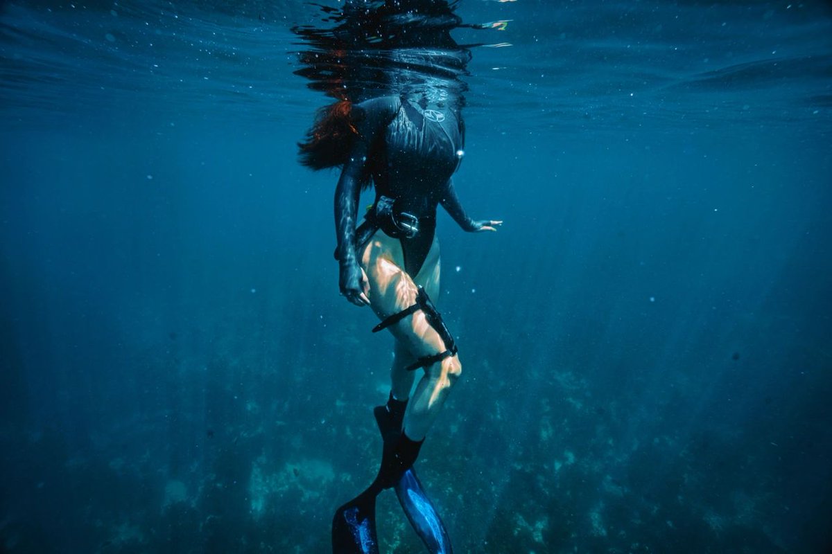 MaryDiving's tweet photo. Los Angeles Freediving
.
.
.
.
.
.
#duiken #tips #veiligheid #duikbril #duikpakken #cylinders #duikposities #zeeleven #oceanen https://t.co/i9XyzL7vvD
