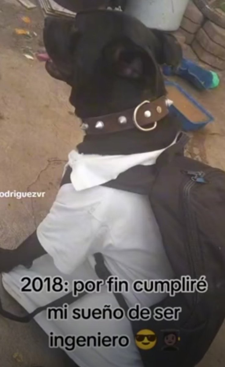PorQue1mporta's tweet photo. https://t.co/6k4ZiUZGcP