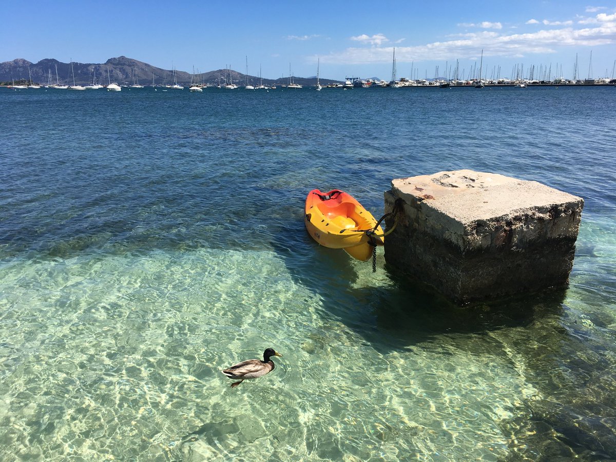 Un paraíso Puerto Pollensa #verano 
#mallorca