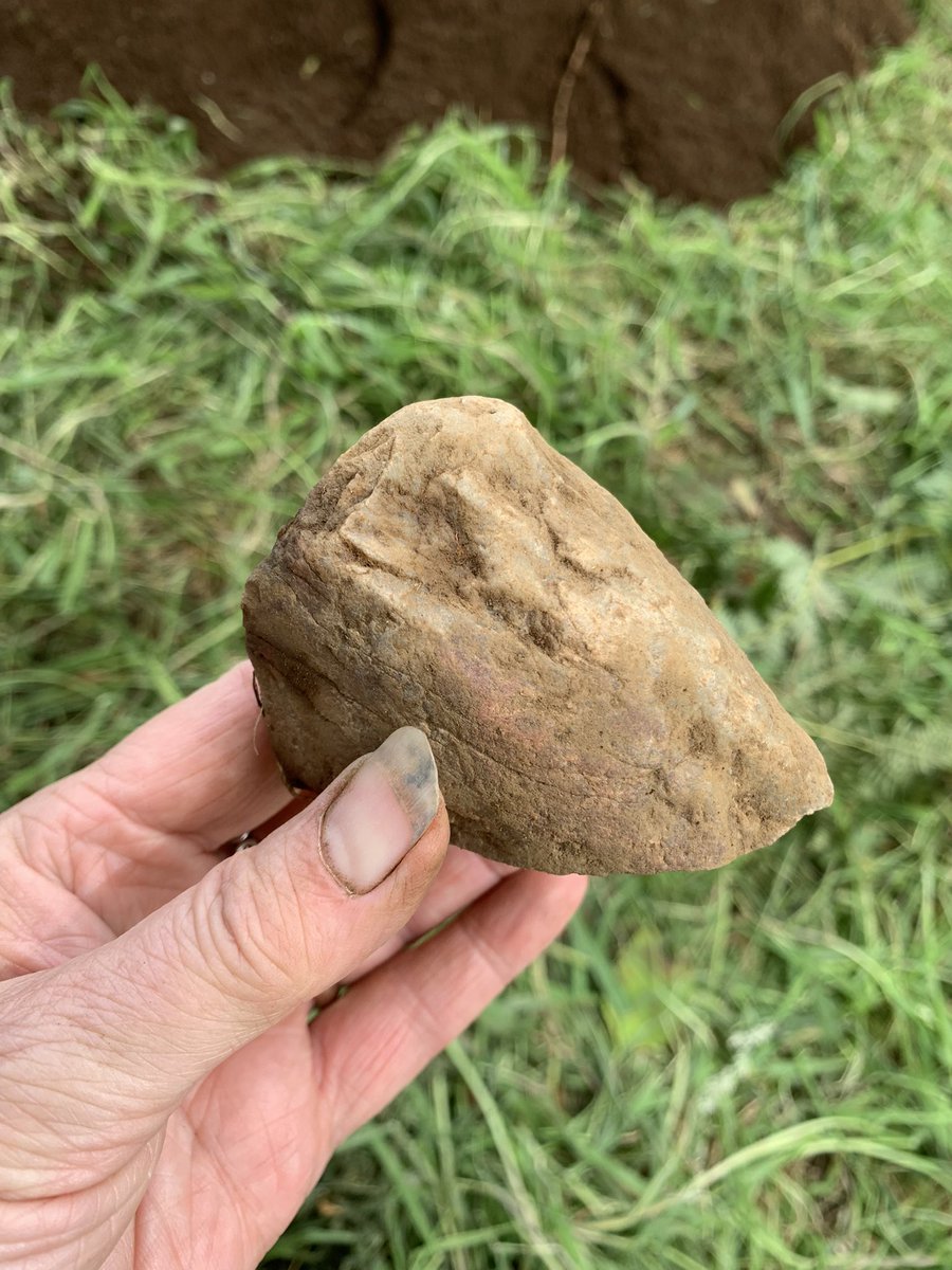 JustOrkney's tweet photo. DAY 8 &amp; day 3/final dig day - 2000 year old hammer stone, exposing Roman floor stones, Victorian ceramics &amp; the dig site https://t.co/xNbd9nlFqt