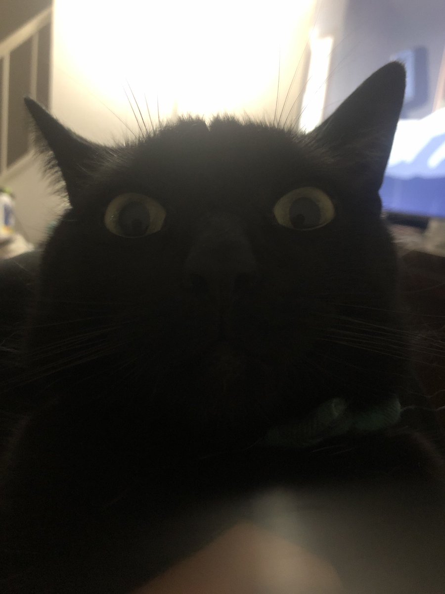 Pixelkixel99 tweet media