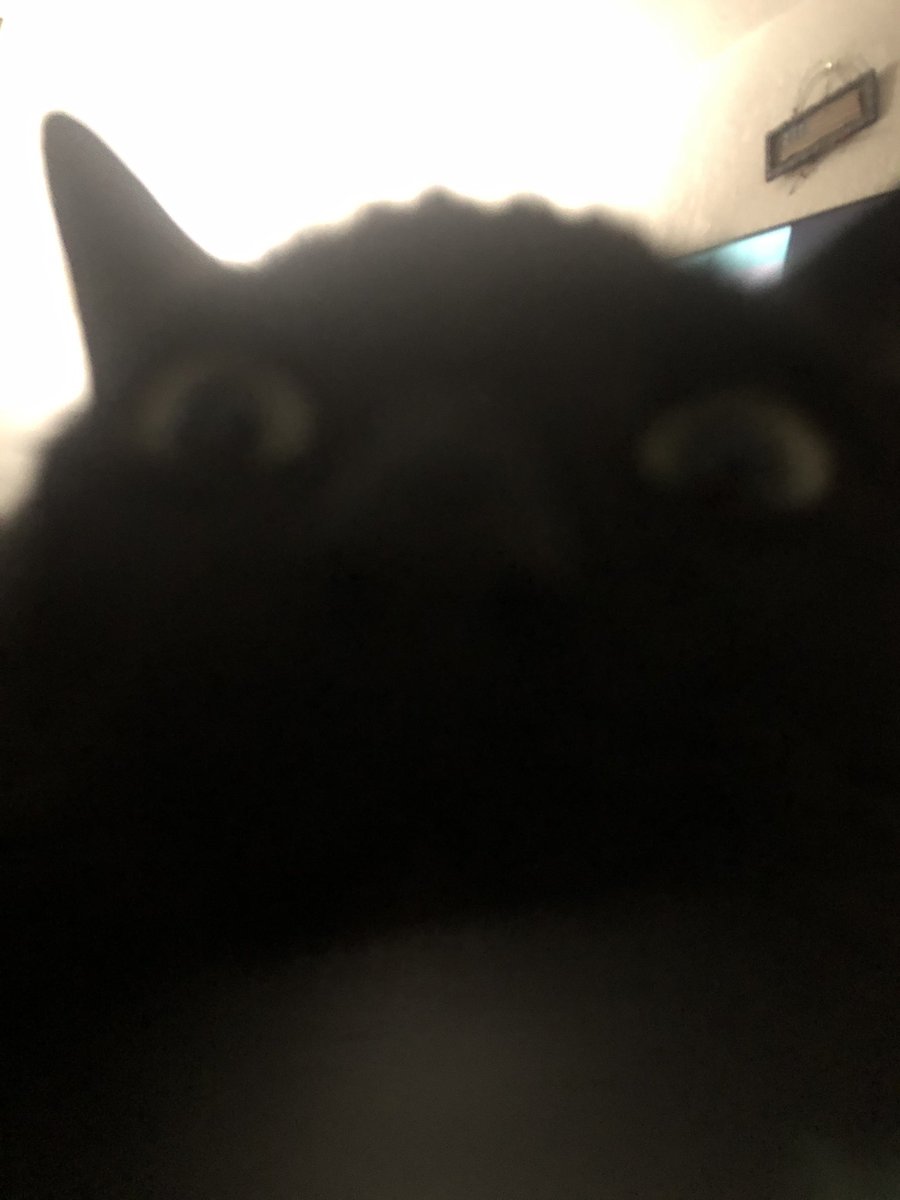 Pixelkixel99 tweet media