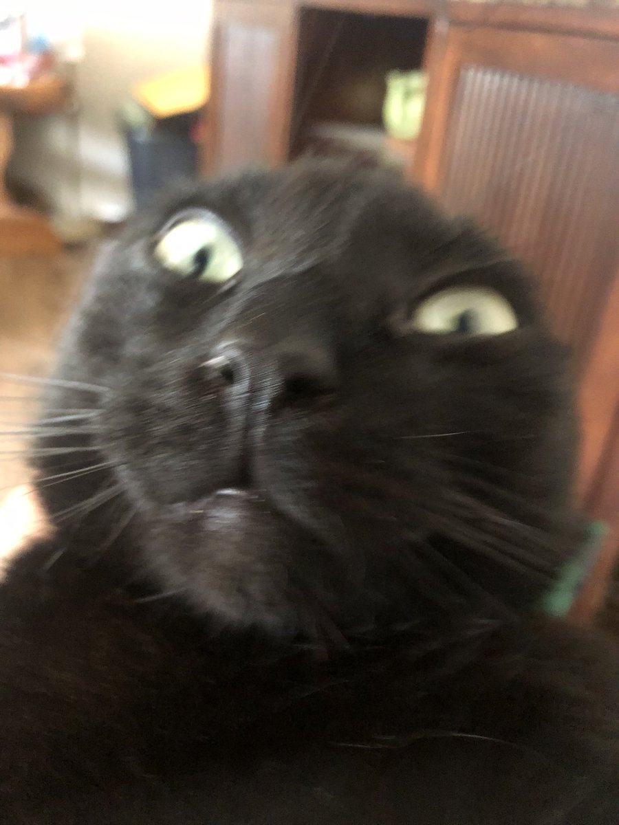 Pixelkixel99 tweet media