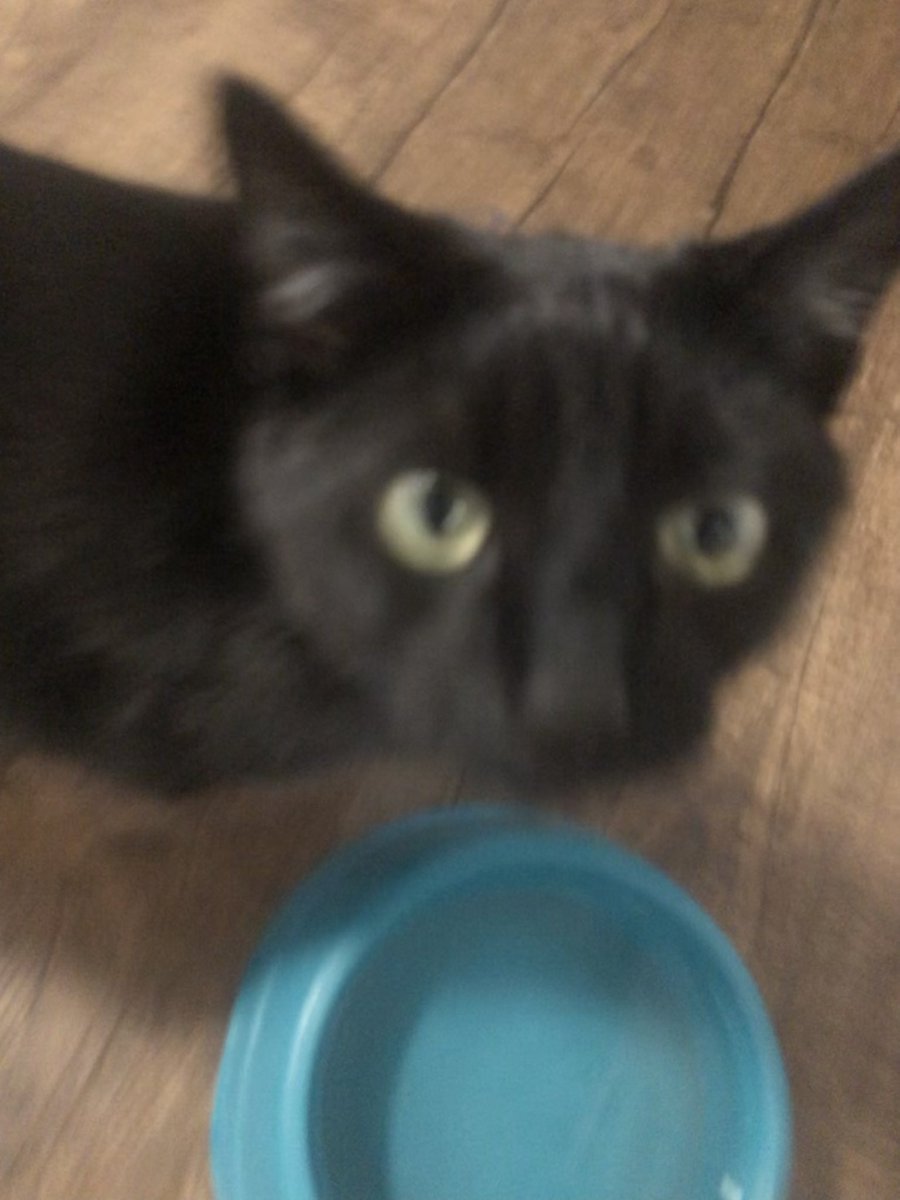 Pixelkixel99 tweet media