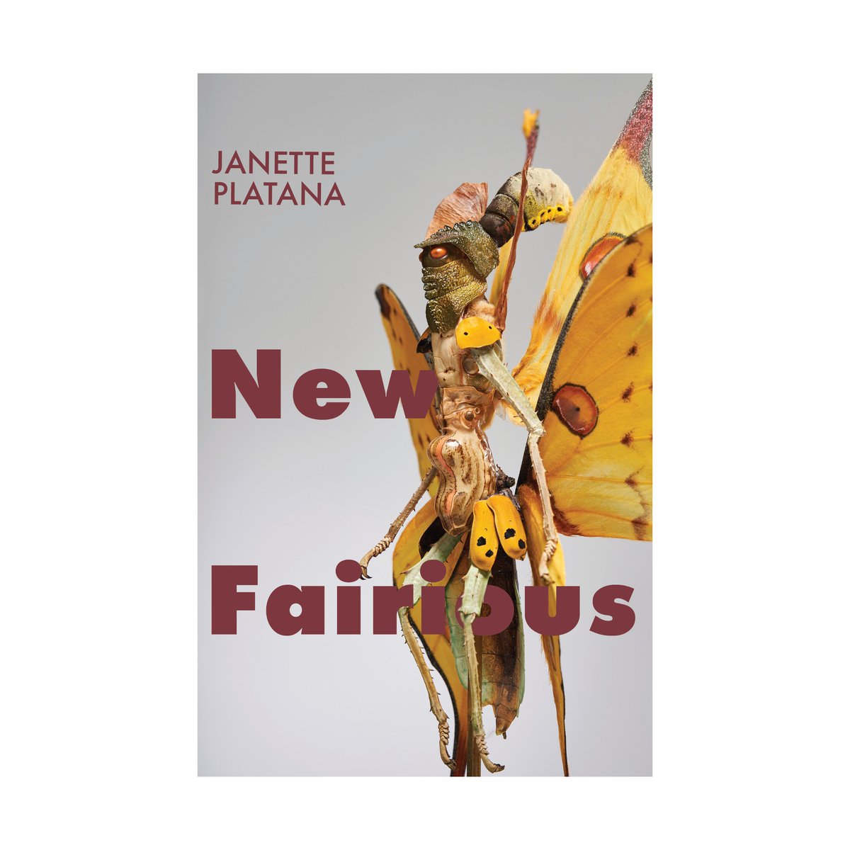 anstrutherpress's tweet photo. New chapbooks from @MarleneHeloise, @hibbsangela, @JanettePlatana, and Christina Shah now available at https://t.co/X7RIMe3JLH! https://t.co/EiSP8UZph9