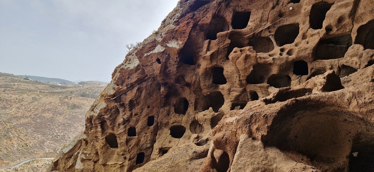 JoeMerchant's tweet image. 