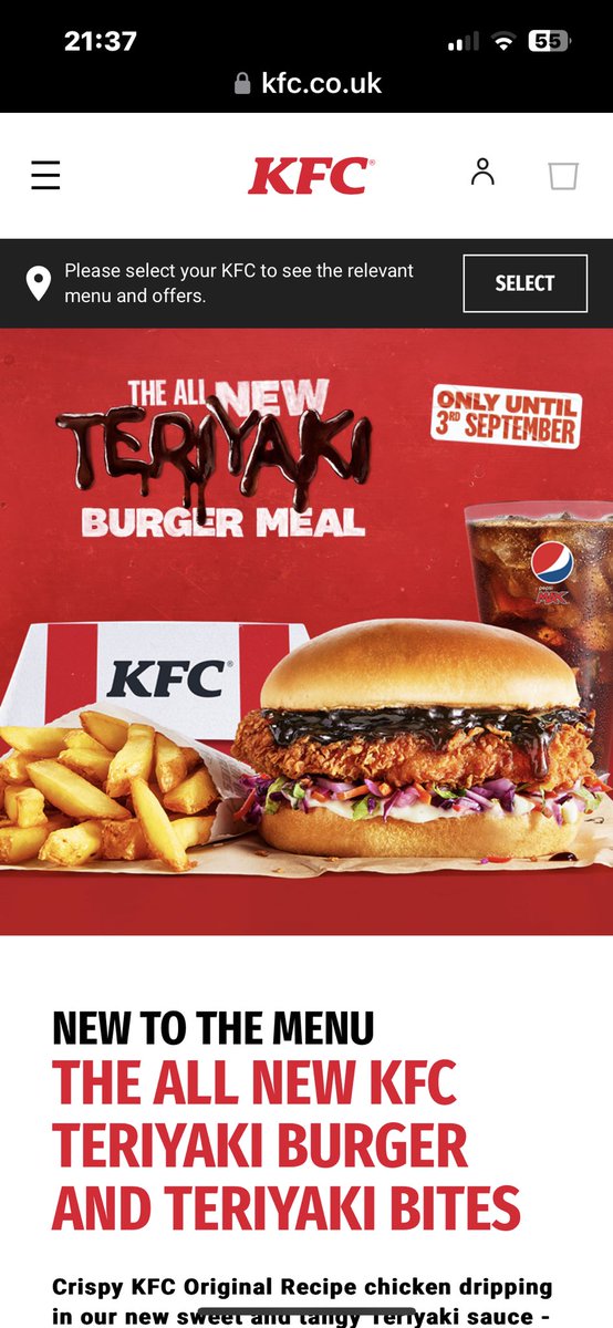 SimonHKing's tweet photo. @kfc my son tried your Teriyaki burger, is this how they’re supposed to look? (He asked for no ‘slaw’). It’s more terryyuki than teriyaki! https://t.co/HYP5iFBXIL