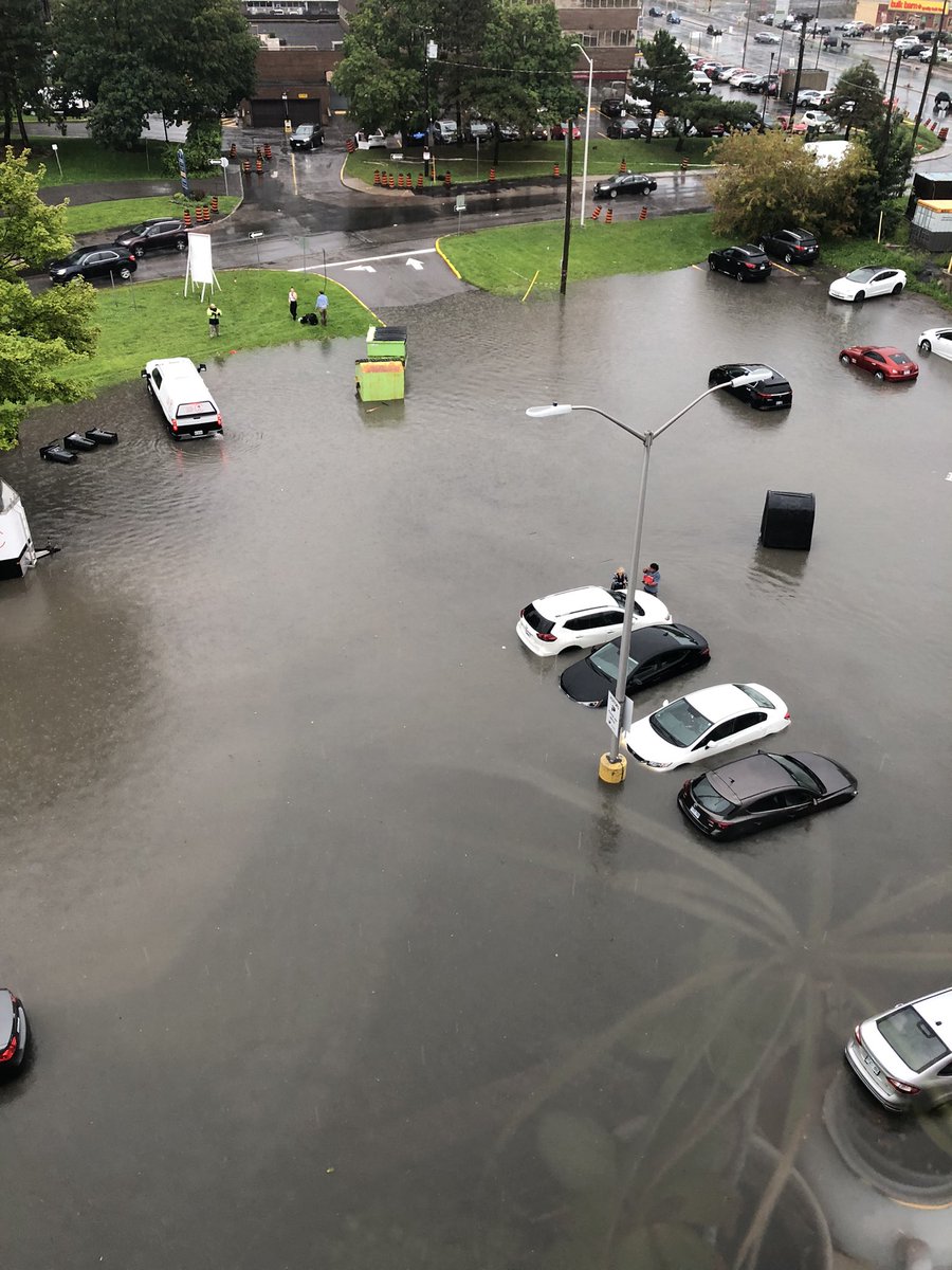 freewillymj's tweet image. Lol how’s YOUR day going? 📍Bank and Riverside #ottnews #ottweather #ottawa @ctvottawa @BlacksWeather @ConnorMockettWX