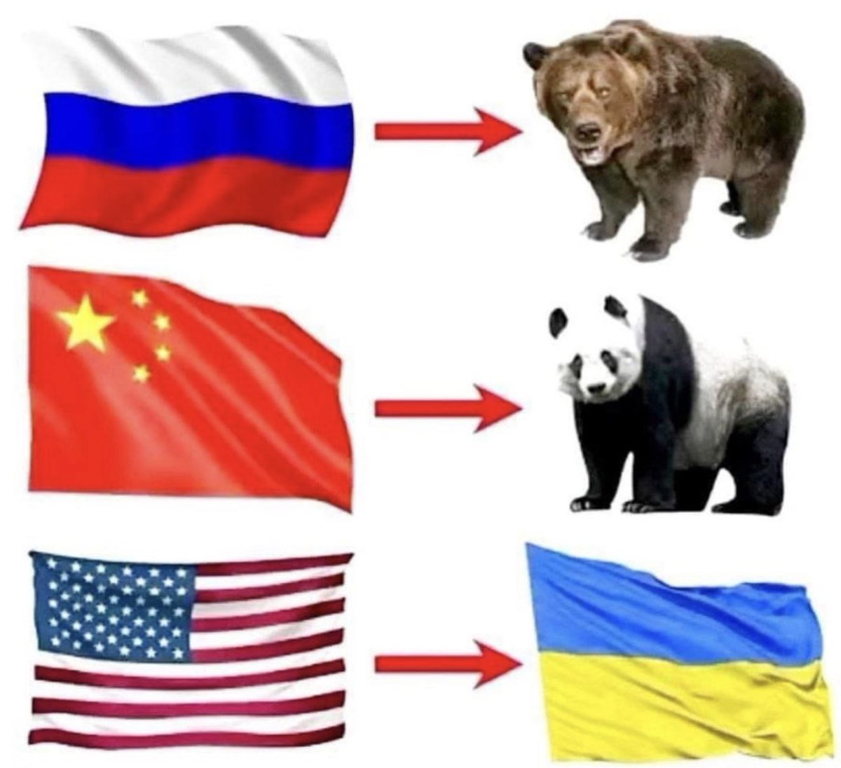 geopoliticabra's tweet photo. Cada país com seu animal de estimação https://t.co/uXeA8JzJr3