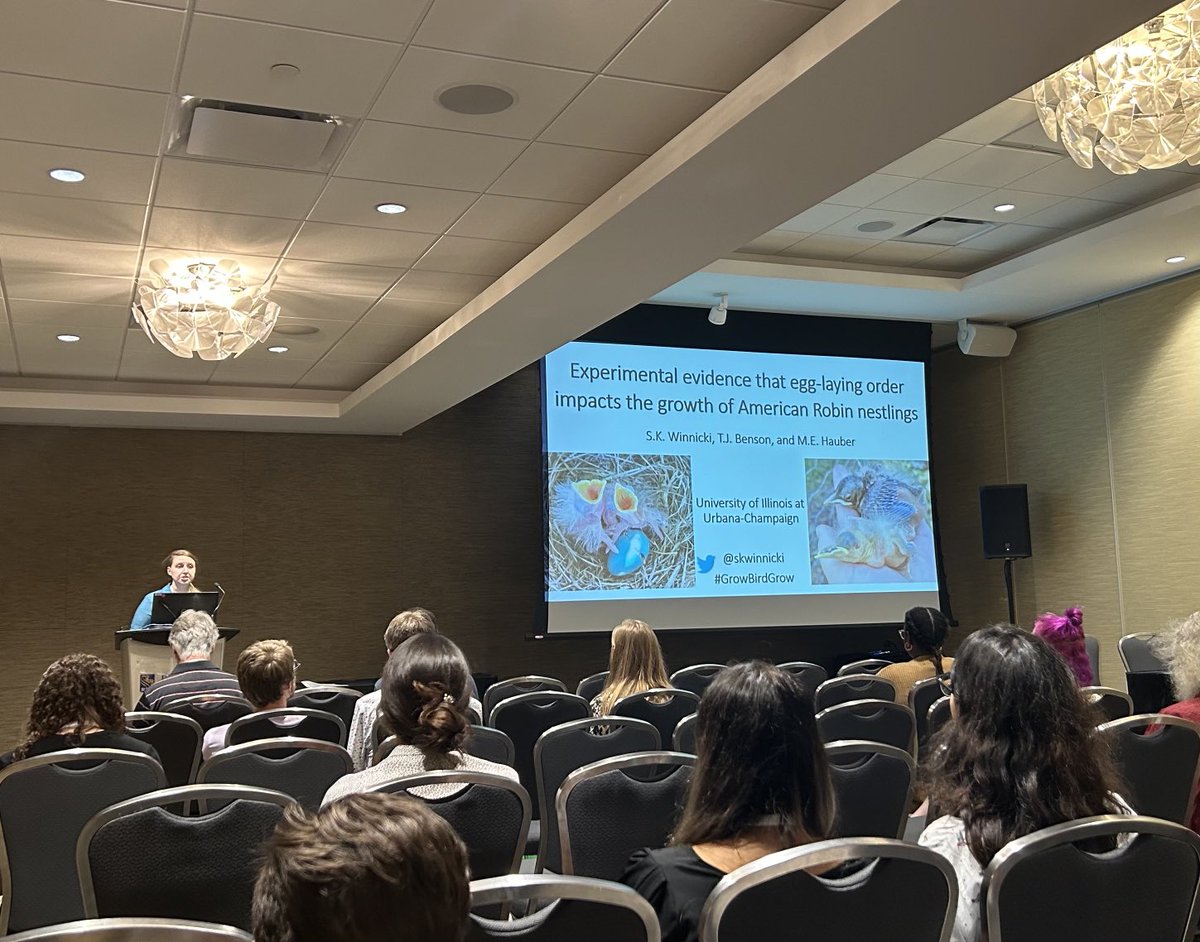 cowbirdlab's tweet photo. ⁦@skwinnicki⁩ presenting at ⁦@AmOrnith⁩ conference! https://t.co/5hpNmRHo02