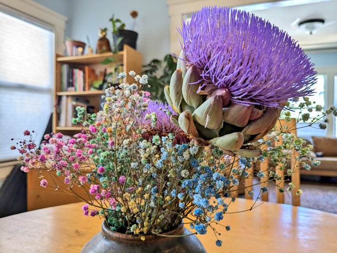 Wow. I had no idea that artichoke blooms smelled like Earl Gray tea with honey!? I'm blown away right