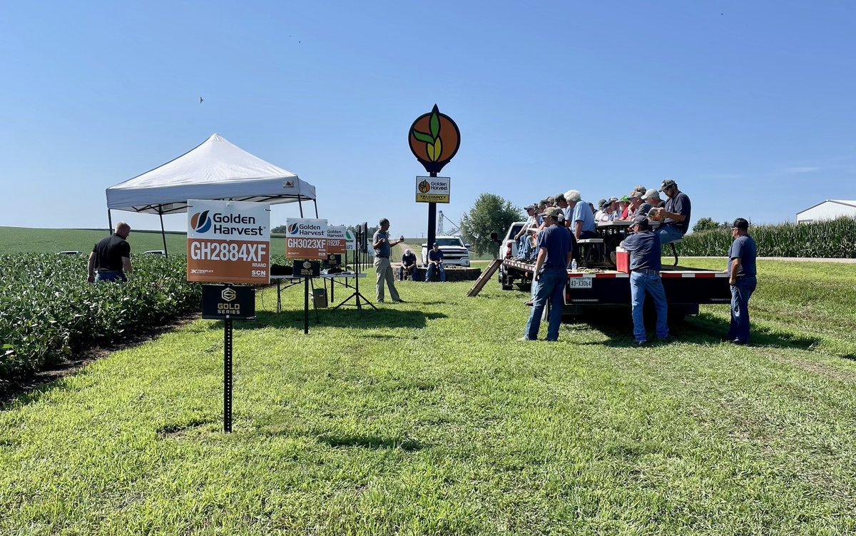 lchristensen33's tweet photo. Perfect morning for a @GldnHarvest field day! https://t.co/hu6A5DkM5F