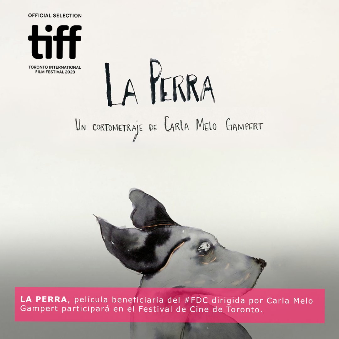 Proimágenes Colombia tweet media