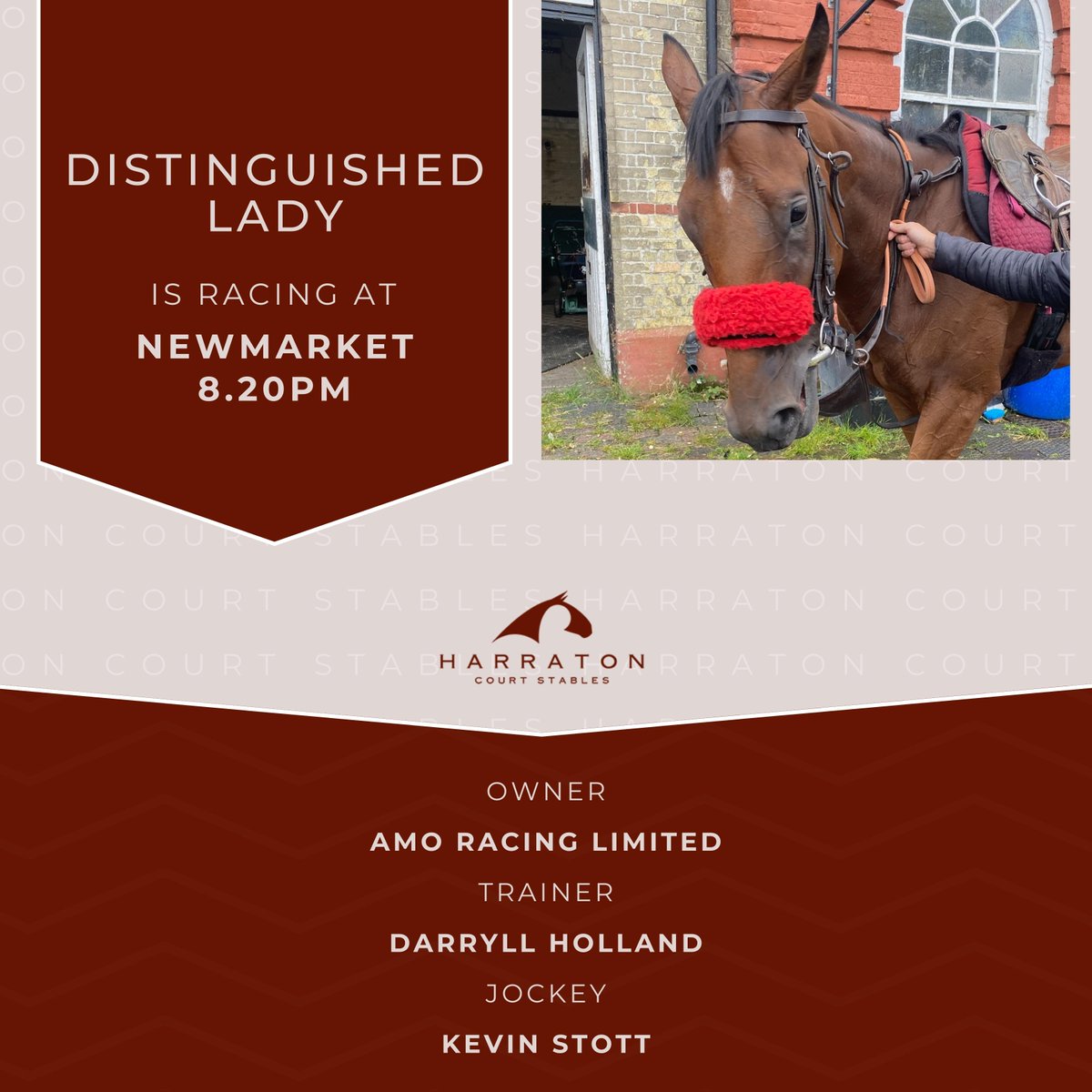 HarratonCourt's tweet photo. Distinguished Lady is racing at @NewmarketRace 8.20PM
πOwner @amoracingltd, Jockey #KevinStott
Trainer #DarryllHolland
#HarratonCourtStables https://t.co/jxFTcX7gjp