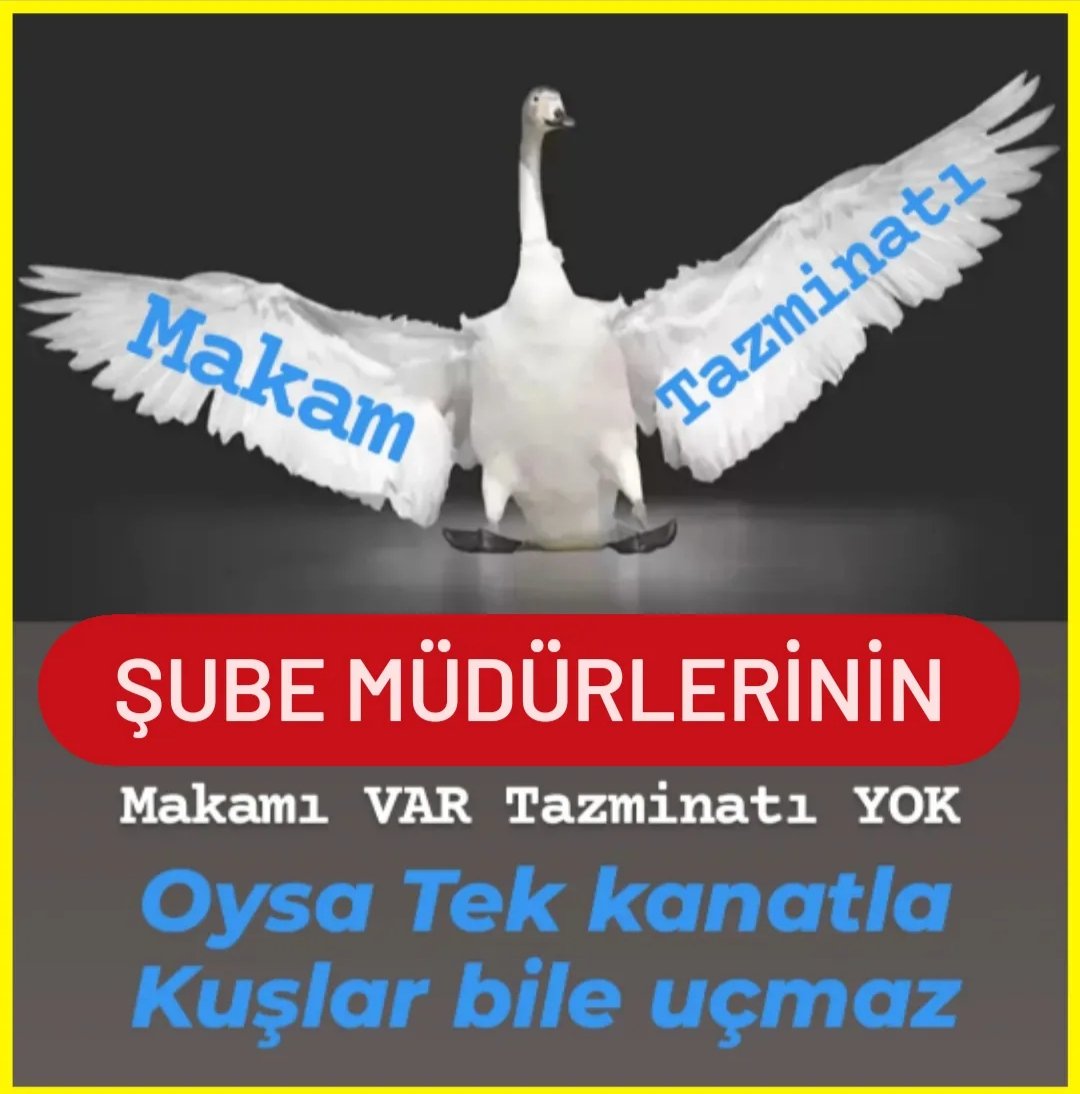 Makam varsa Tazminatı da olmalı diyen Şube Müdürleri,  Müdürler, Müdür yardımcıları MAKAM TAZMİNATI istiyor. #MüdürlerHakArıyor <a href="/_aliyalcin_/">Ali YALÇIN</a> <a href="/HBTONBUL/">Hacı Bayram Tonbul 🇹🇷</a> <a href="/MemurSenKonf/">Memur-Sen</a> <a href="/isikhanvedat/">Prof. Dr. Vedat Işıkhan</a> <a href="/csgbakanligi/">T.C. Çalışma ve Sosyal Güvenlik Bakanlığı</a> <a href="/memetsimsek/">Mehmet Simsek</a> <a href="/HMBakanligi/">T.C. Hazine ve Maliye Bakanlığı</a> <a href="/_cevdetyilmaz/">Cevdet Yılmaz</a> <a href="/RTErdogan/">Recep Tayyip Erdoğan</a>