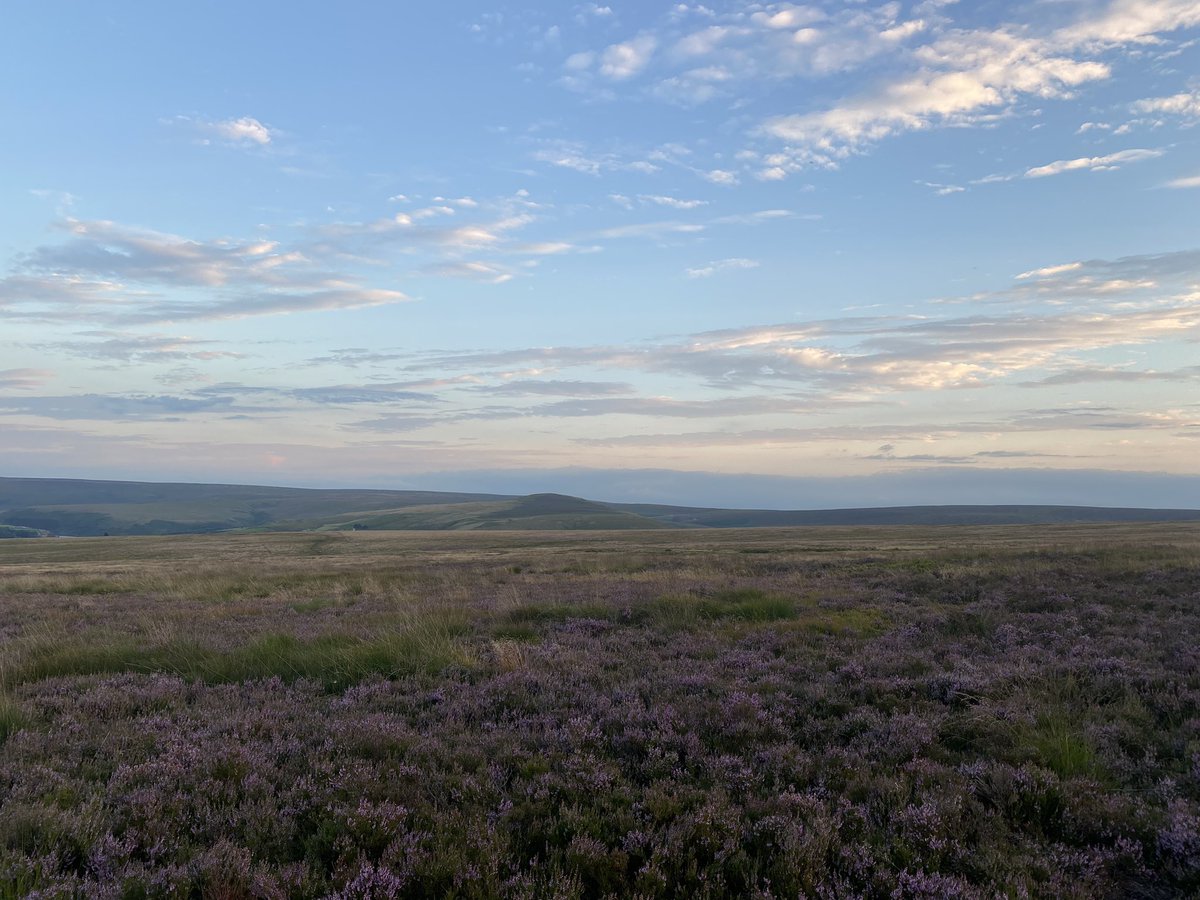 improvemydiet's tweet photo. It had been a while since visiting El Charco Alto 🥾
After work #ExerciseWalk 
#Sunset 
#MarsdenMoor https://t.co/Xm0KfemwP7