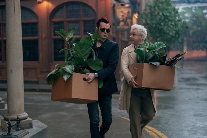 mossy_spencer's tweet photo. im a big stupid botany nerd so im gonna identify all the plants crowey has a 🧵 https://t.co/mPuchjkuzU